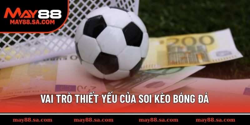 Vai trò thiết yếu của soi kèo bóng đá